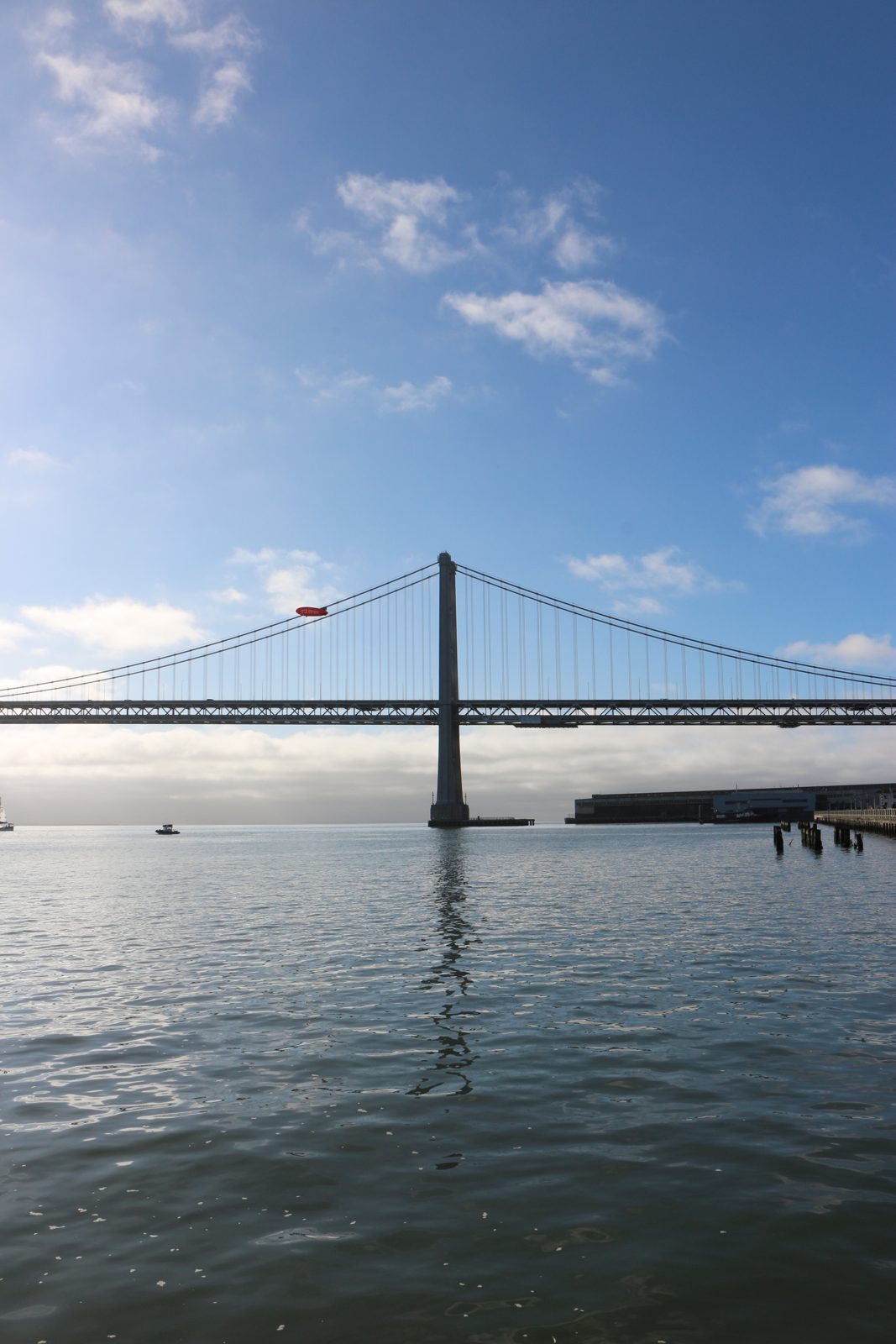 the bay & bridges