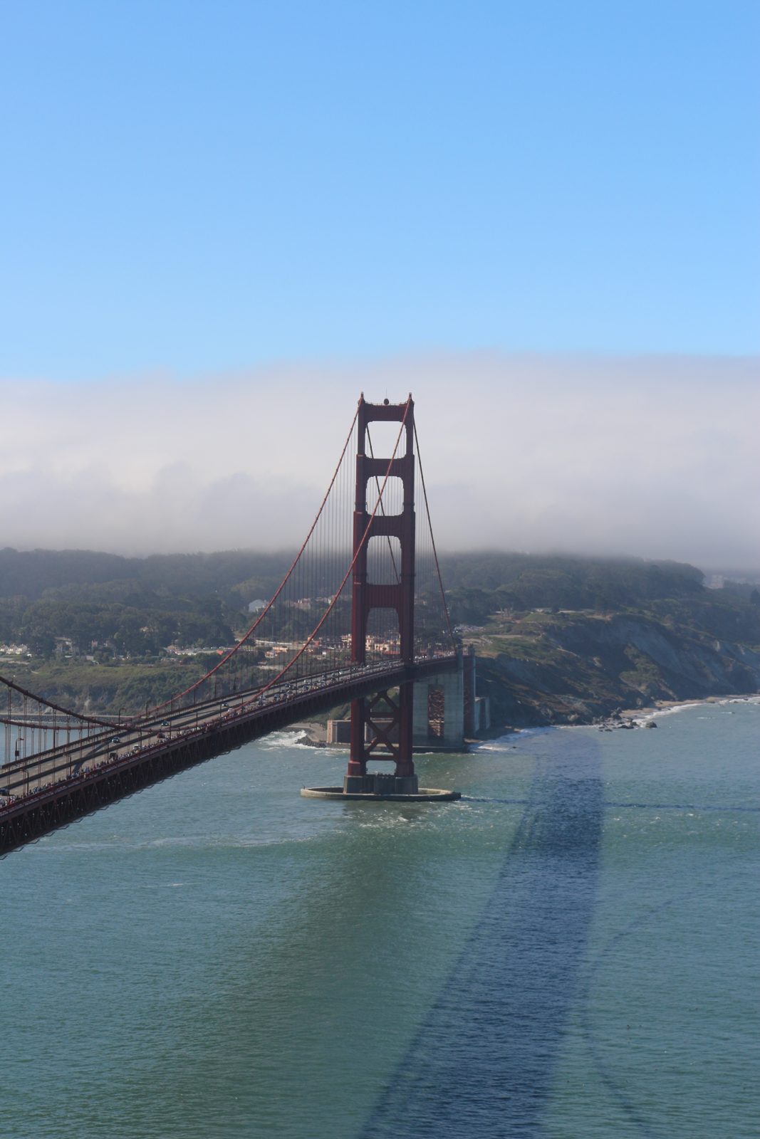 the bay & bridges