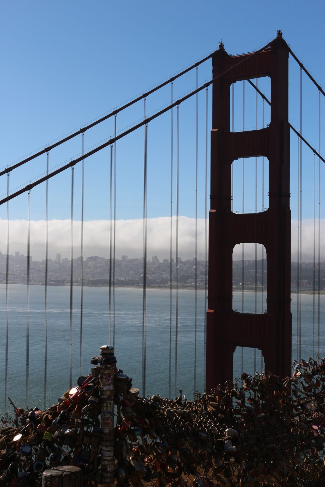 the bay & bridges
