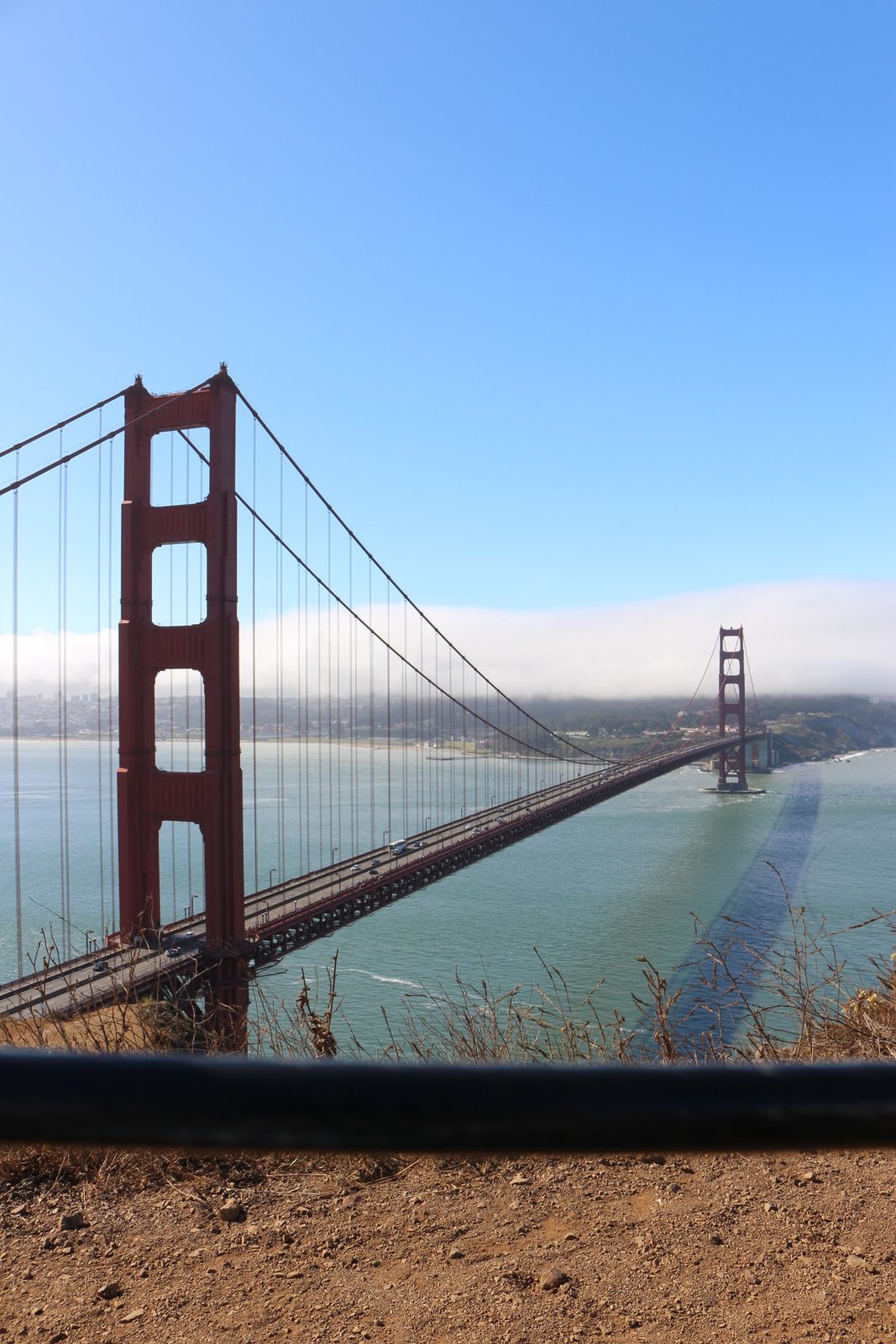 the bay & bridges